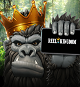 ReelKingdom